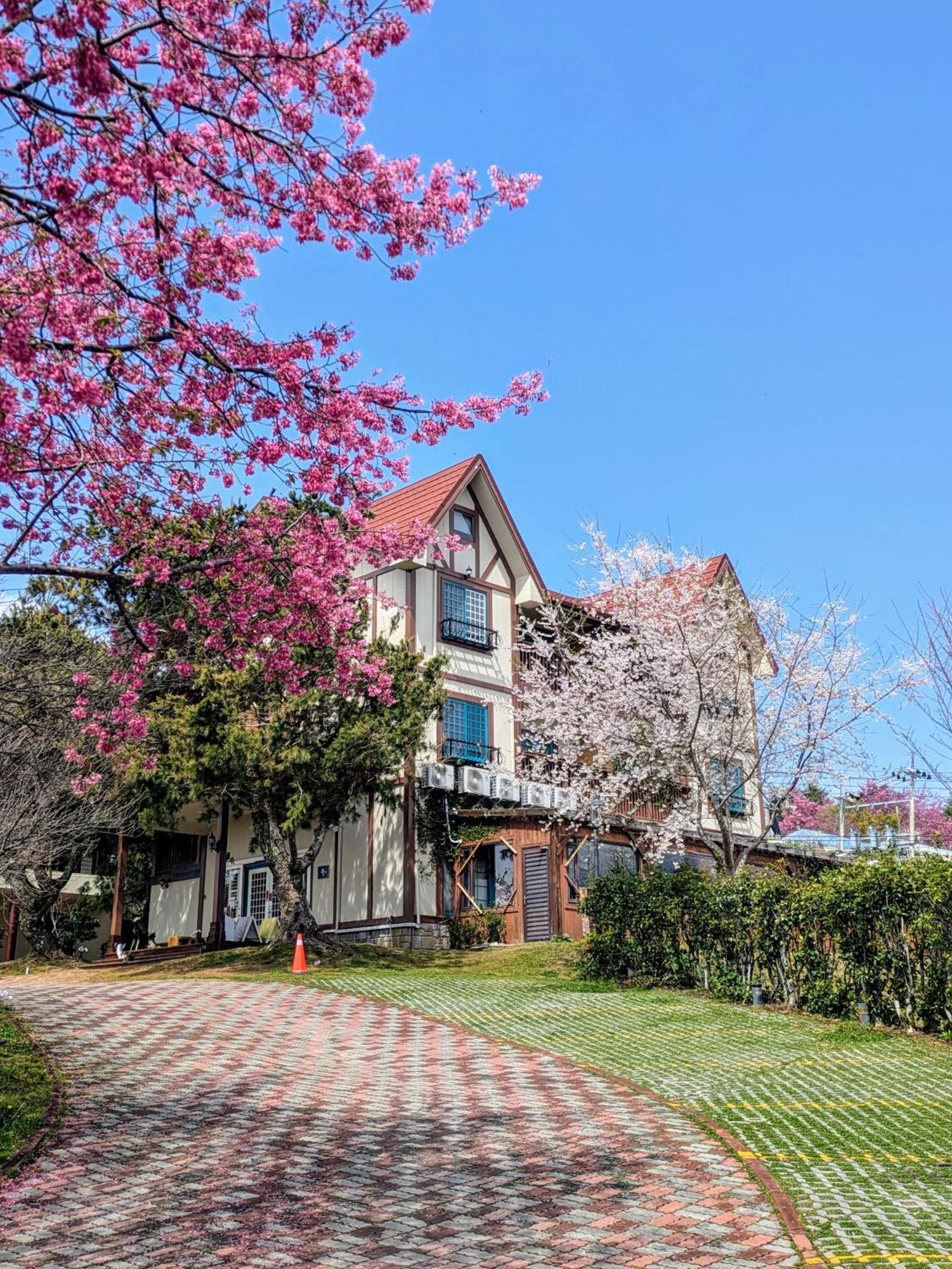 Appartamento 清境 百里莊園 Baili Manor Cing Jing Ren'ai Esterno foto
