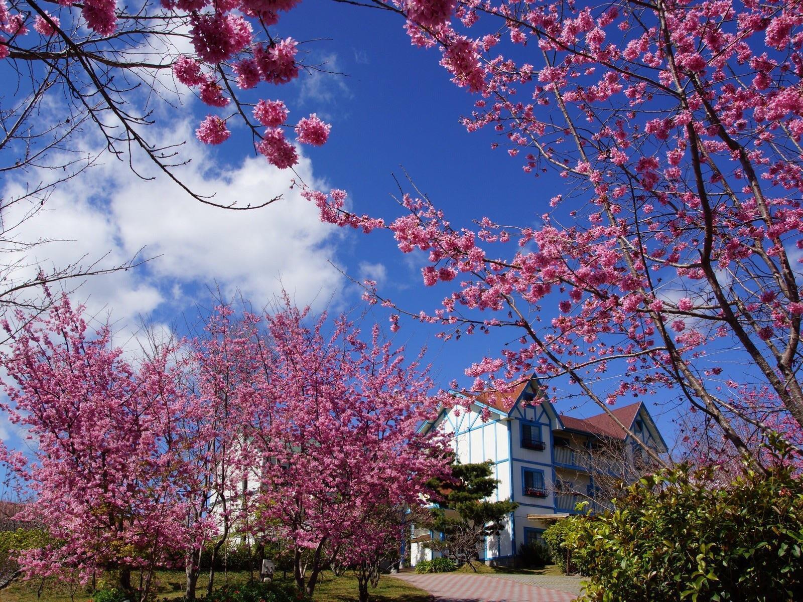 Appartamento 清境 百里莊園 Baili Manor Cing Jing Ren'ai Esterno foto
